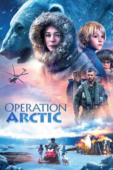 Operation Arctic